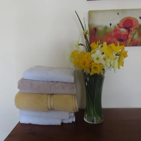 Kilcullen Home Stay منزل للإقامة