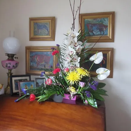 Privat bolig Kilcullen Home Stay
